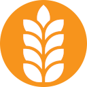 Contains Wheat
